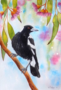 Australian Magpie Artwork - Ink and Watercolour Original Painting