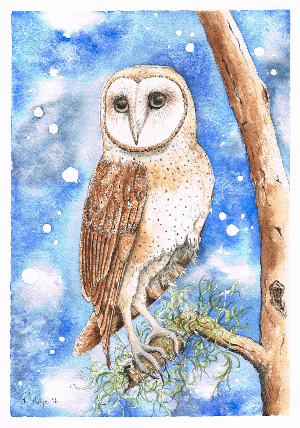 Beatrix the Barn Owl Artwork - Ink and Watercolour Original Painting