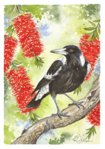 Magpie and Calliestemon Artwork - Ink and Watercolour Original Painting