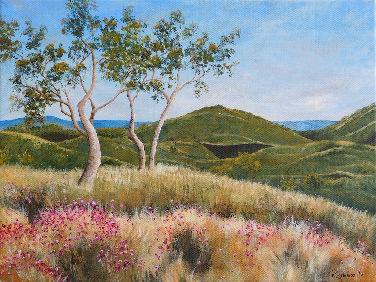 Landscape Painting depicting the gorgeous Wildflowers of Western Australia