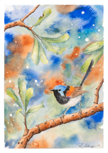 Variegated Fairywren Artwork - Ink and Watercolour Original Painting