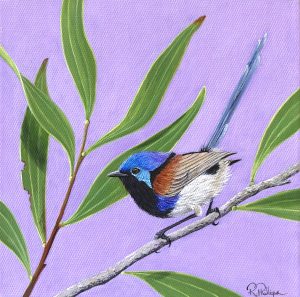Original Artwork Purple-backed Fairy-wren and Wattle Leaves, Acrylic Painting