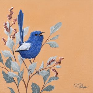 Original Artwork White-winged Fairywren and Oldman Saltbush, Acrylic Painting